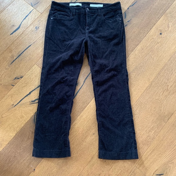 Anthropologie pilcro stet cords - Picture 6 of 7